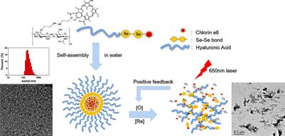 Targeted Delivery of Chlorin e6 via Redox Sensitive Diselenide-Containing Micelles for Improved Photodynamic Therapy in Cluster of Differentiation 44-Overexpressing Breast Cancer